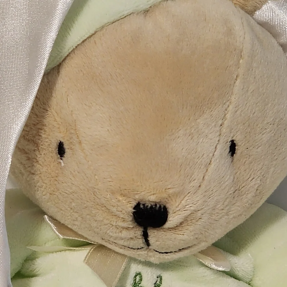 Carter's green bear Thank Heaven for little babies. In a night bonnet